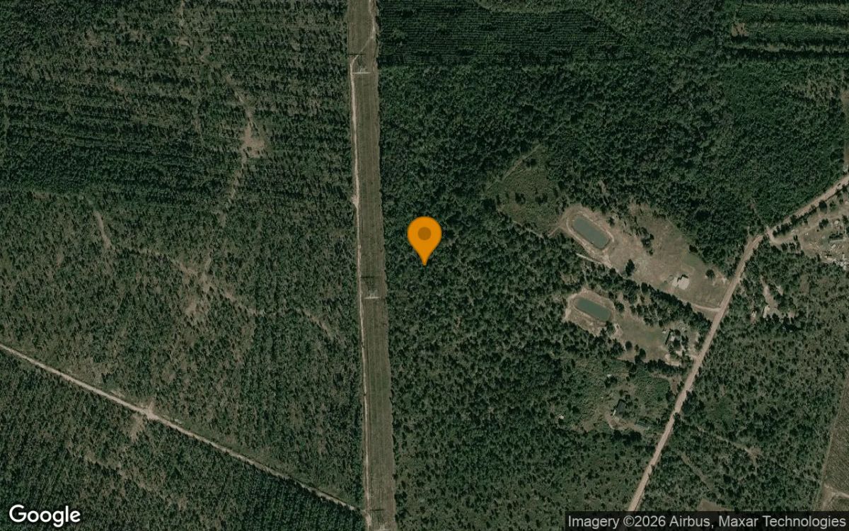 15.06 Acres in Nahunta - Brantley County, GA - Main image