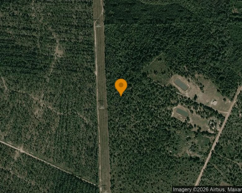 15.06 Acres in Nahunta - Brantley County, GA in Brantley County, GA