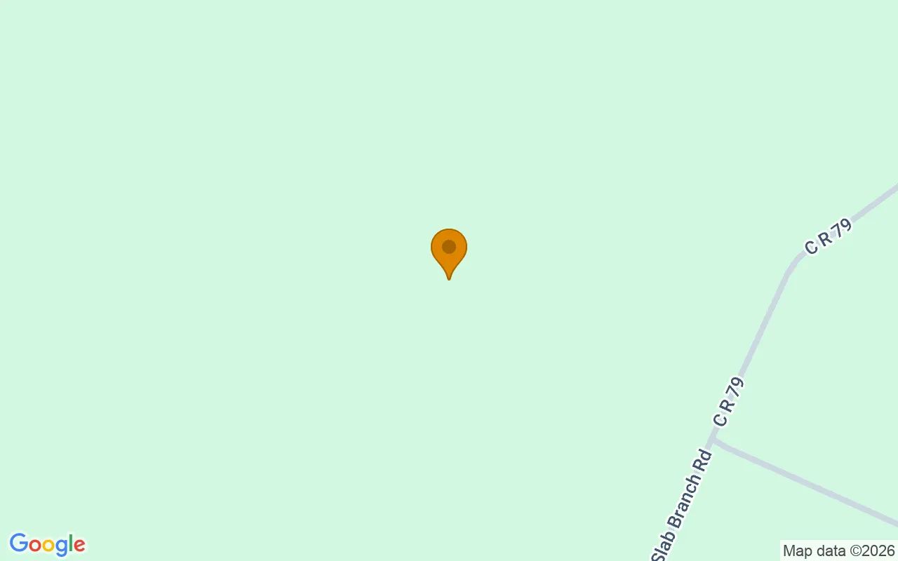 15.06 Acres in Nahunta - Brantley County, GA in Brantley County, GA