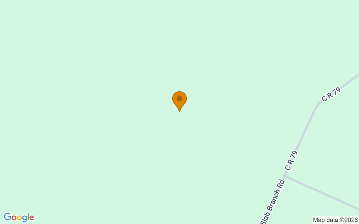 15.06 Acres in Nahunta - Brantley County, GA - Image 2
