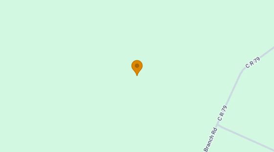 15.06 Acres in Nahunta - Brantley County, GA in Brantley County, GA