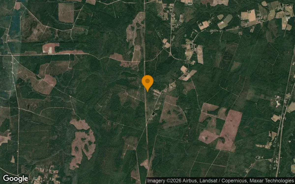 15.06 Acres in Nahunta - Brantley County, GA - Image 3