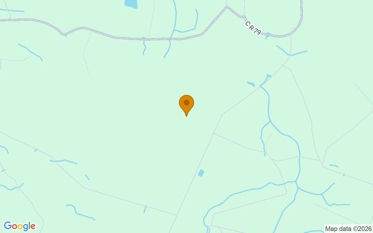 15.06 Acres in Nahunta - Brantley County, GA in Brantley County, GA