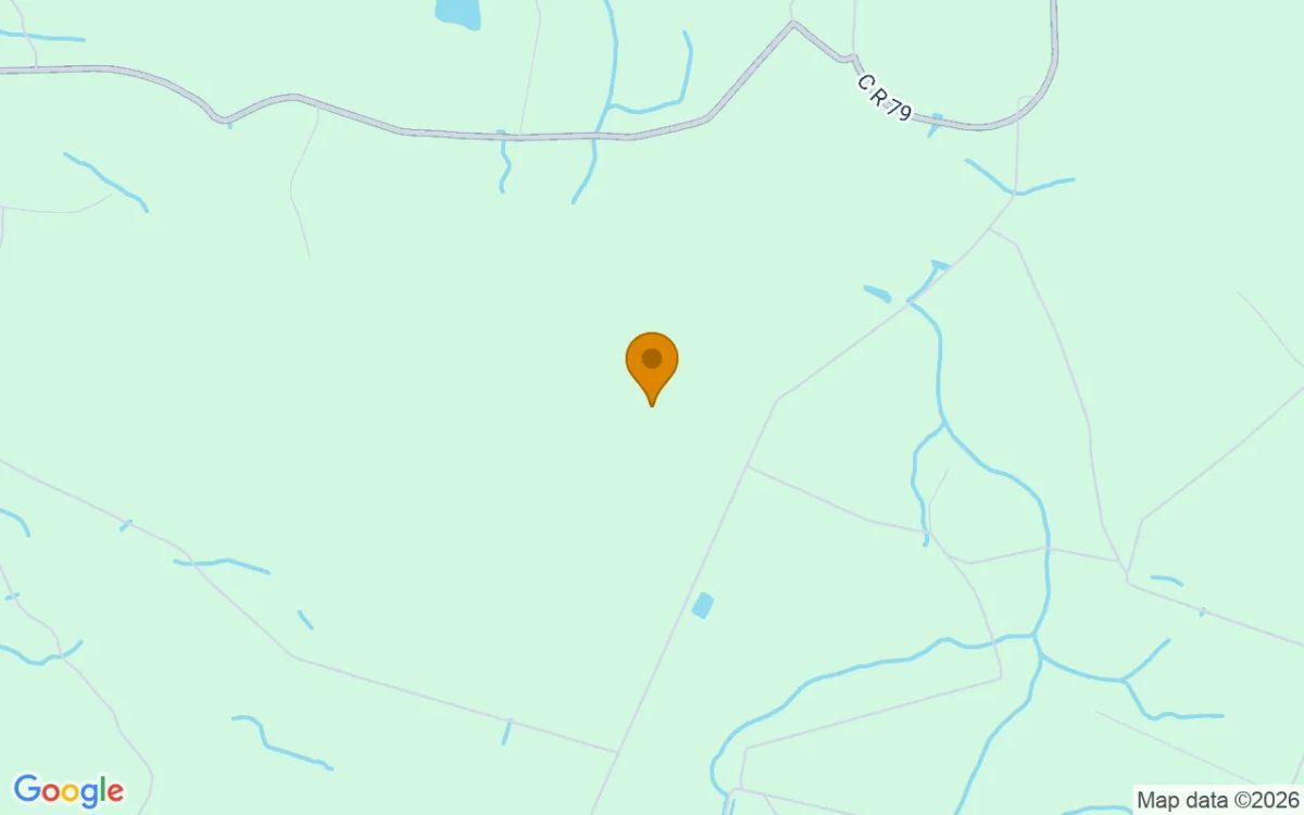 15.06 Acres in Nahunta - Brantley County, GA - Image 4