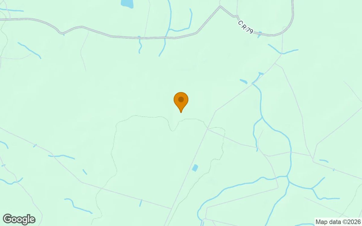 Decorative background for 15.06 Acres in Nahunta - Brantley County, GA image 5