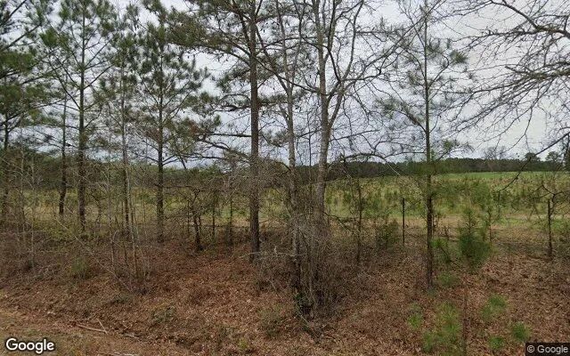 Decorative background for 3.5 Acres in Woodbury - Meriwether County, GA image 5