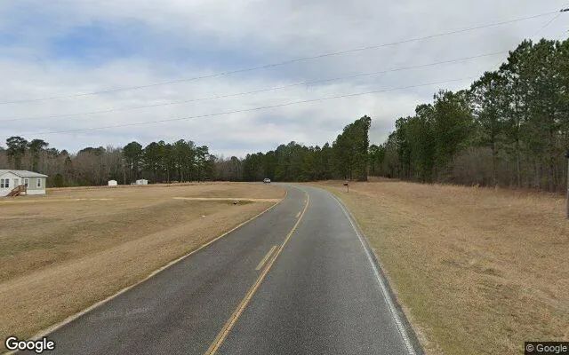 Decorative background for 0.4 Acres in Warthen - Washington County, GA image 5