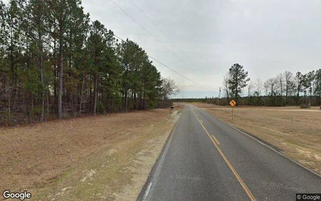 Decorative background for 0.4 Acres in Warthen - Washington County, GA image 6