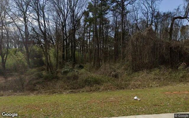 0.55 Acres in Atlanta - Clayton County, GA - Image 4
