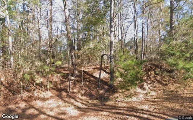 0.77 Acres in Ideal - Macon County, GA - Image 4