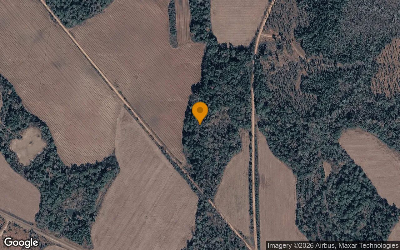 74.75 Acres in Edison - Calhoun County, GA in Calhoun County, GA