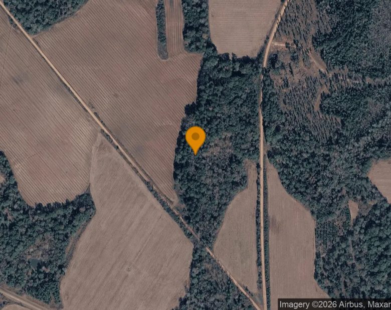 74.75 Acres in Edison - Calhoun County, GA in Calhoun County, GA