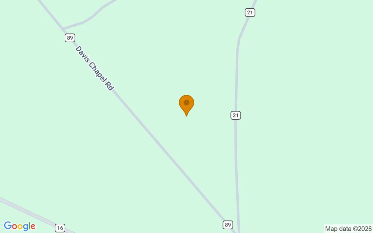 74.75 Acres in Edison - Calhoun County, GA - Image 2