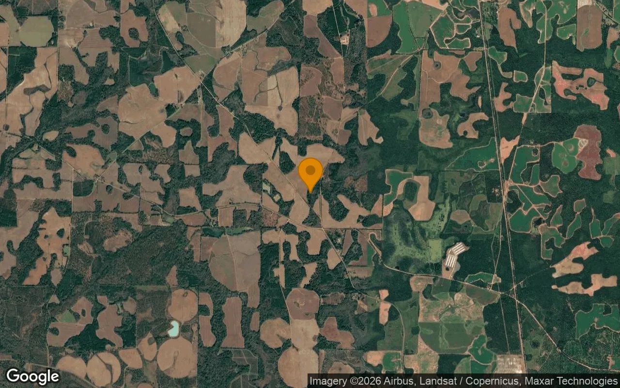 74.75 Acres in Edison - Calhoun County, GA in Calhoun County, GA