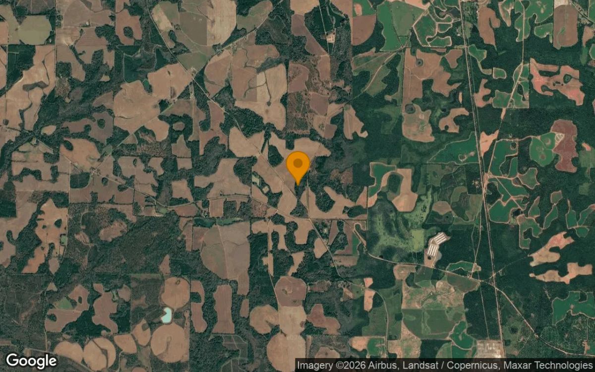 74.75 Acres in Edison - Calhoun County, GA - Image 3