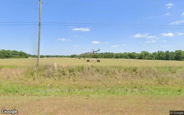 74.75 Acres in Edison - Calhoun County, GA in Calhoun County, GA