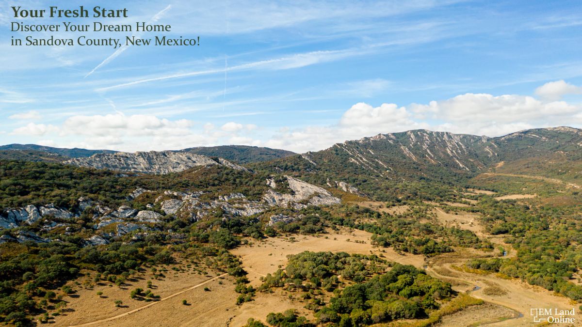 Your Best Investment for the Future in Sandoval County! - Main image