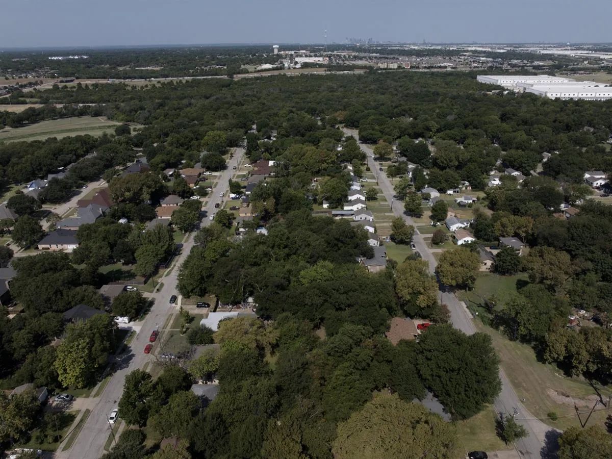 0.18 Acres with Owner Financing and $4,980 down in Dallas County Texas! - Image 2