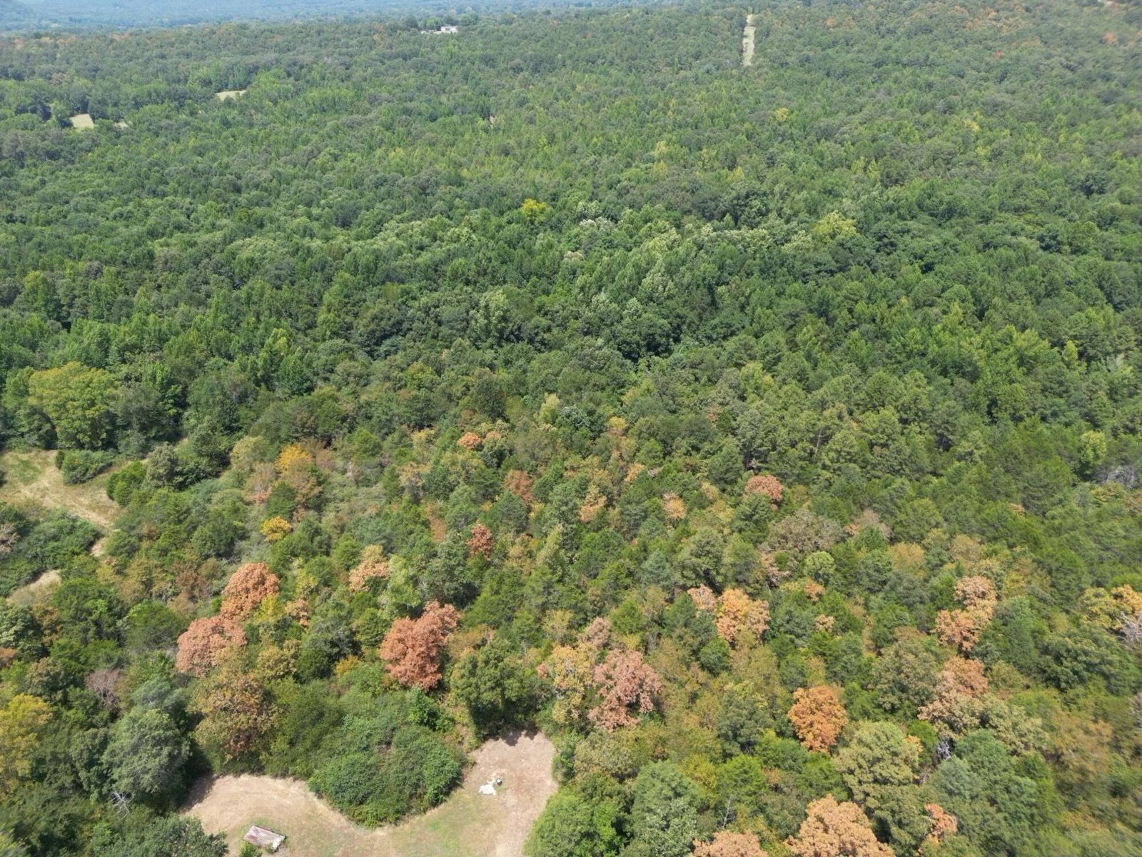 12.95 Acres For Sale in Conway County Arkansas! in Conway County, AR