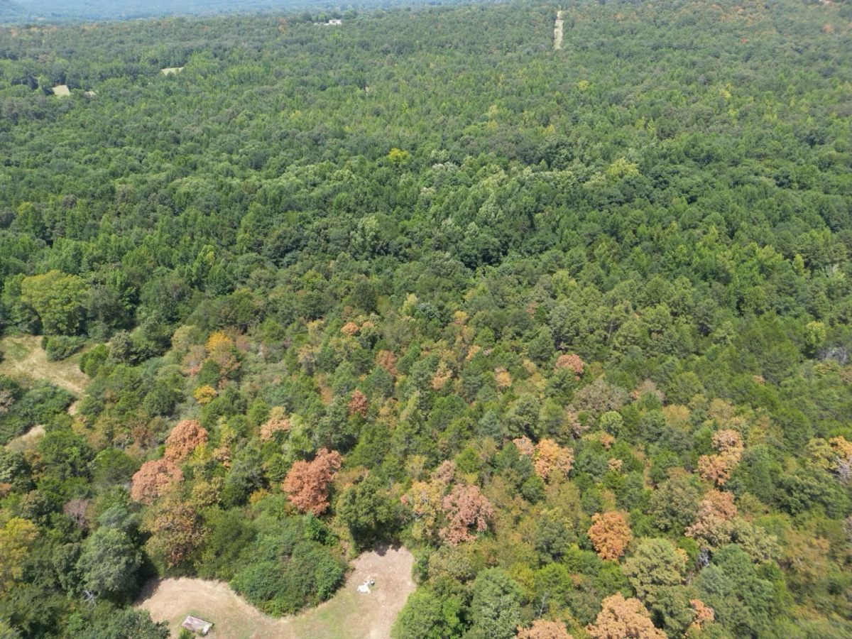 12.95 Acres For Sale in Conway County Arkansas! - Main image