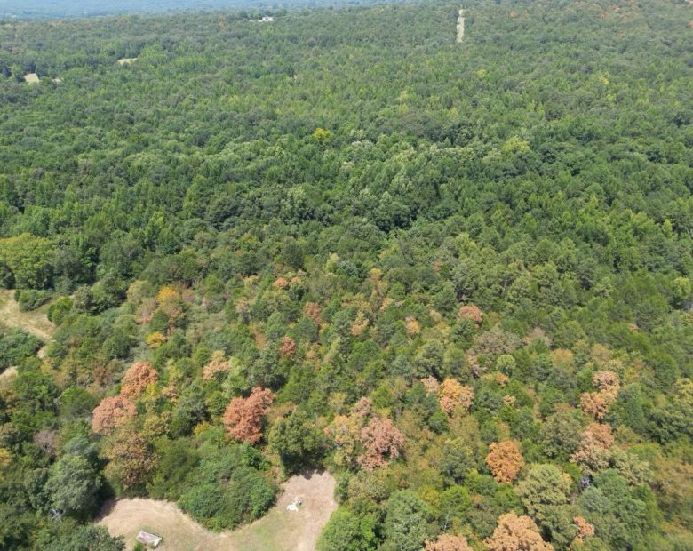 12.95 Acres For Sale in Conway County Arkansas! in Conway County, AR