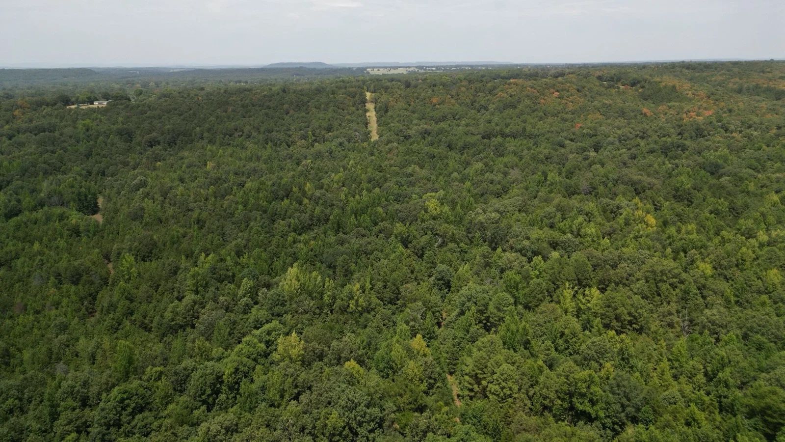 12.95 Acres For Sale in Conway County Arkansas! in Conway County, AR