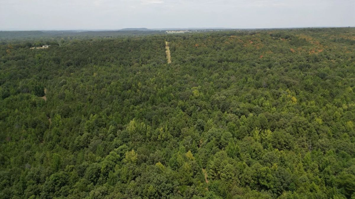 12.95 Acres For Sale in Conway County Arkansas! - Image 2