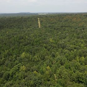 12.95 Acres For Sale in Conway County Arkansas! in Conway County, AR