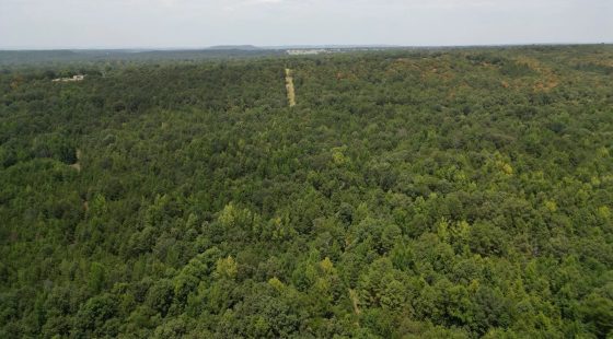 12.95 Acres For Sale in Conway County Arkansas! in Conway County, AR