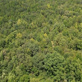 12.95 Acres For Sale in Conway County Arkansas! in Conway County, AR