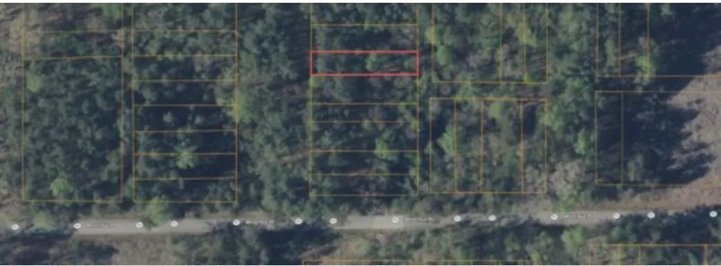 0.09 Acres with Owner Financing and $495 down in Lunenburg County Virginia! - Image 2