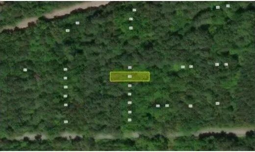 0.09 Acres with Owner Financing and $495 down in Lunenburg County Virginia! in Lunenburg County, VA