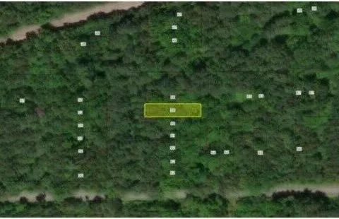 Decorative background for 0.09 Acres with Owner Financing and $495 down in Lunenburg County Virginia! image 5
