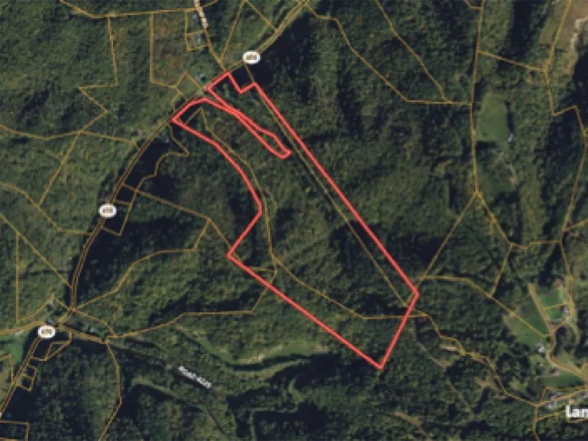 82 Acres with Owner Financing and $19,980 down in Buchanan County Virginia! - Main image