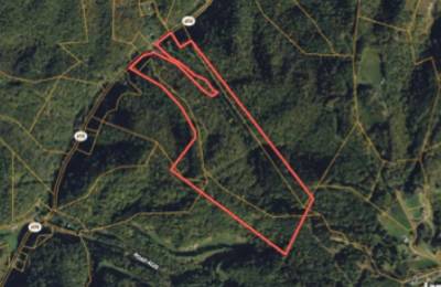 82 Acres with Owner Financing and $19,980 down in Buchanan County Virginia!