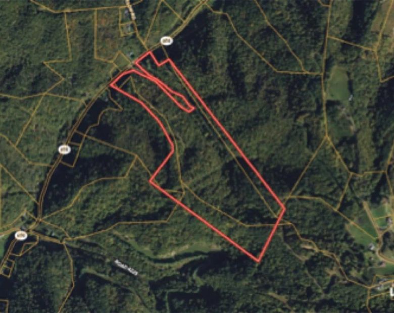82 Acres with Owner Financing and $19,980 down in Buchanan County Virginia! in Buchanan County, VA