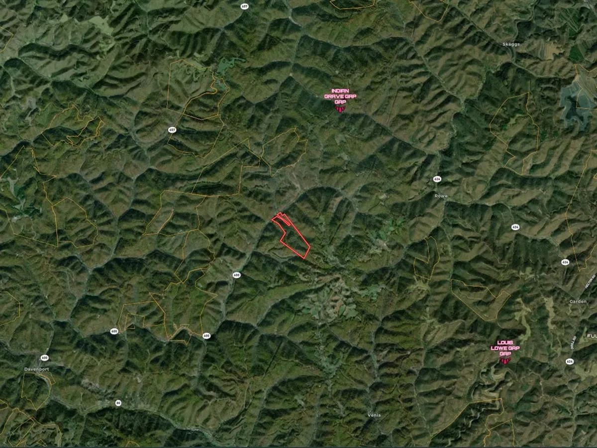 82 Acres with Owner Financing and $19,980 down in Buchanan County Virginia! - Image 2