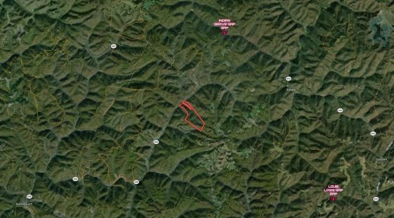 82 Acres with Owner Financing and $19,980 down in Buchanan County Virginia! in Buchanan County, VA