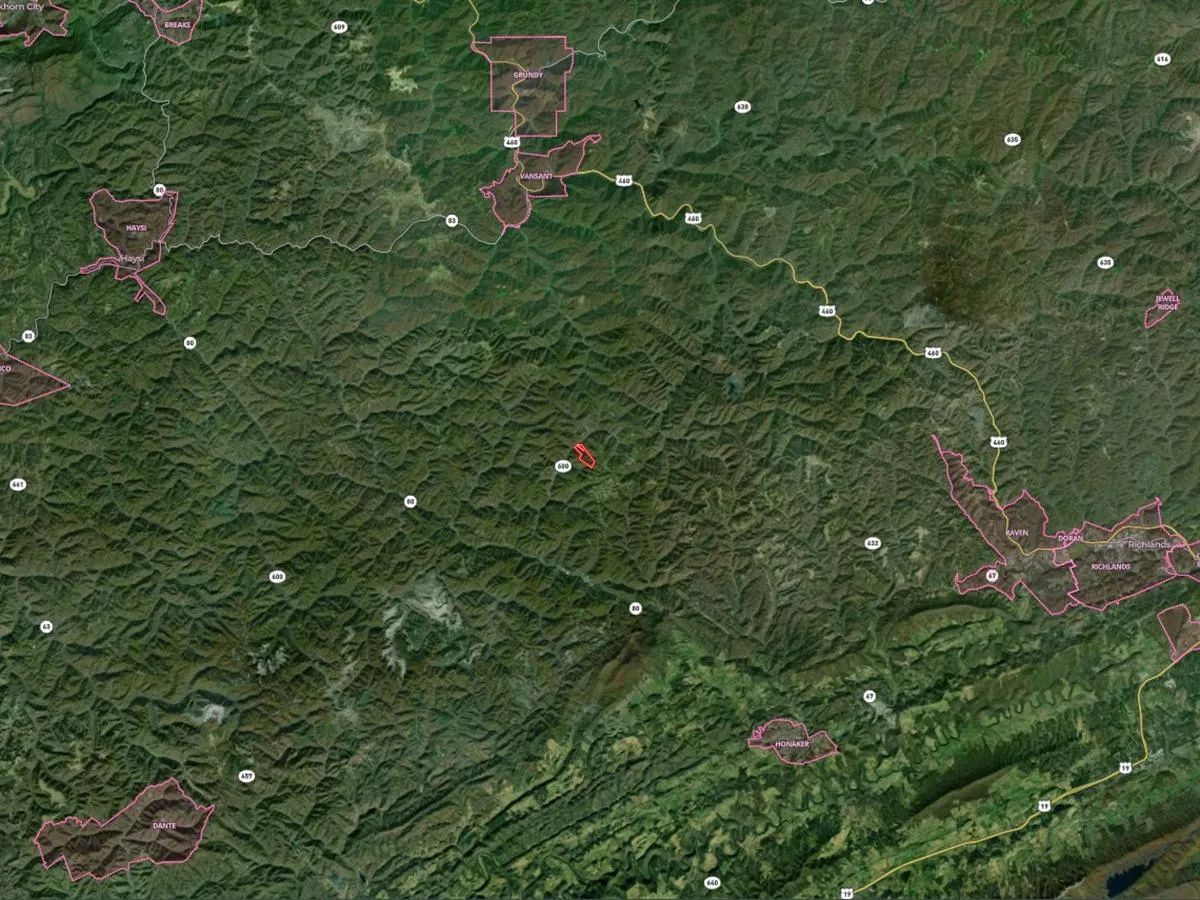 82 Acres with Owner Financing and $19,980 down in Buchanan County Virginia! - Image 3