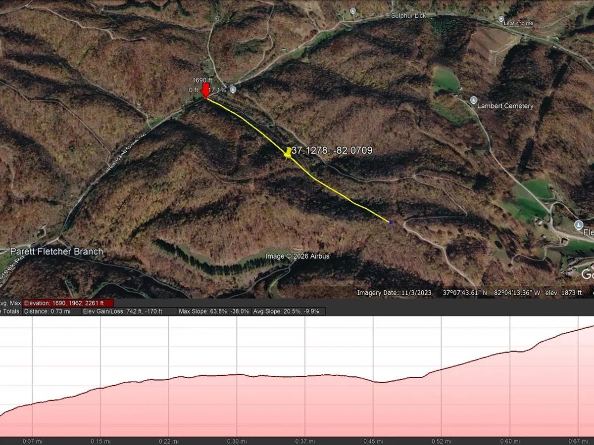 Decorative background for 82 Acres with Owner Financing and $19,980 down in Buchanan County Virginia! image 5