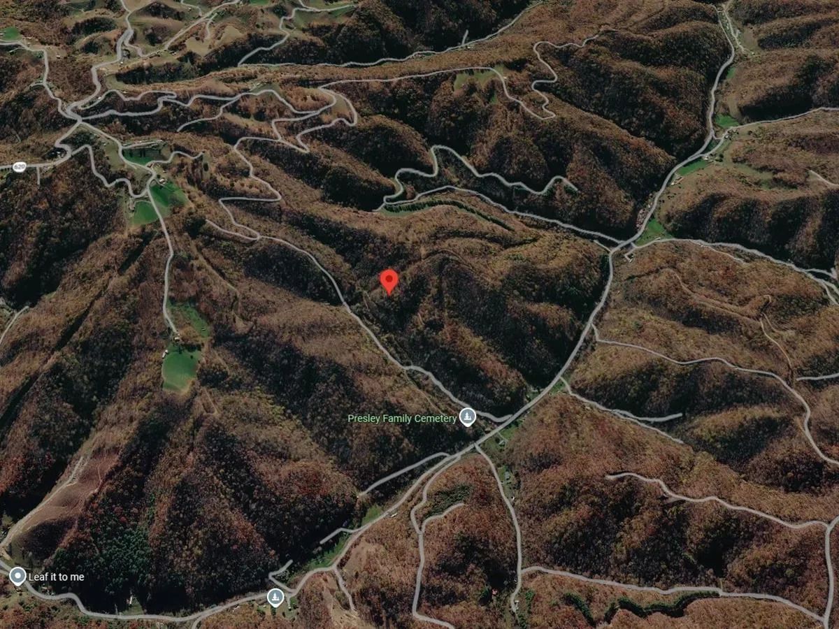 Decorative background for 82 Acres with Owner Financing and $19,980 down in Buchanan County Virginia! image 6
