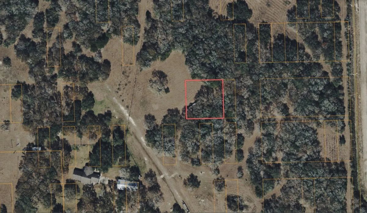 0.46 Acres with Owner Financing and $1,495 down in Jackson County Texas! - Image 2