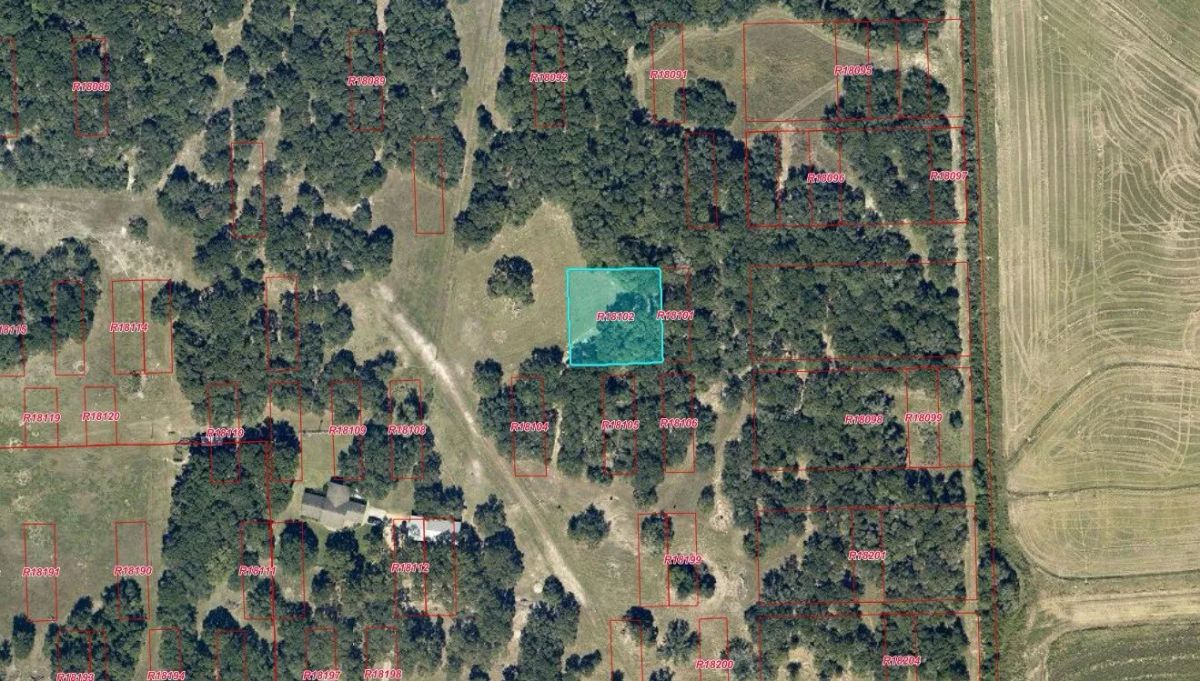0.46 Acres with Owner Financing and $1,495 down in Jackson County Texas! - Image 4