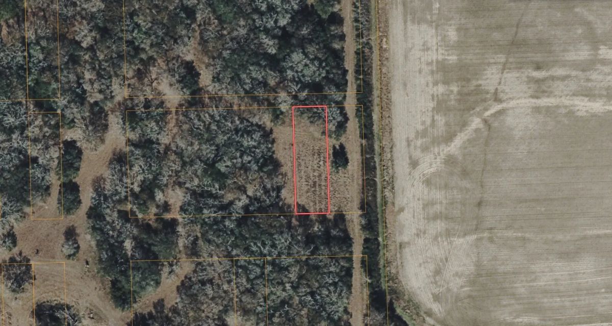 0.15 Acres with Owner Financing and $395 down in Jackson County Texas! - Main image