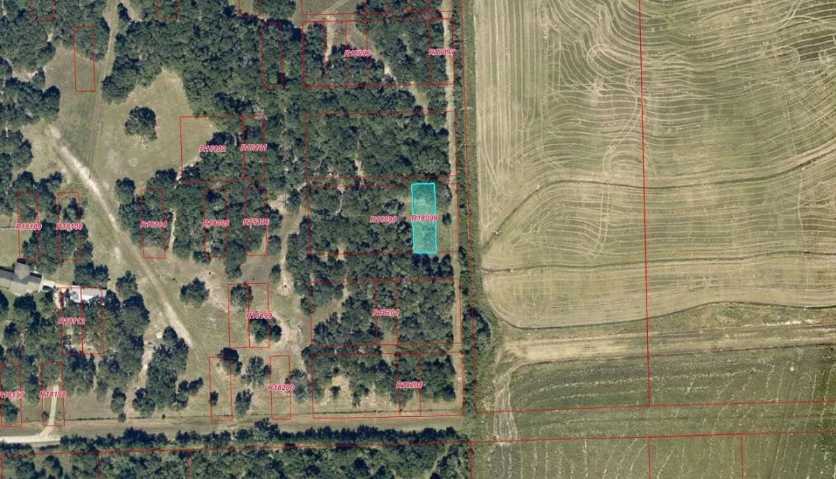 0.15 Acres with Owner Financing and $395 down in Jackson County Texas! - Image 3