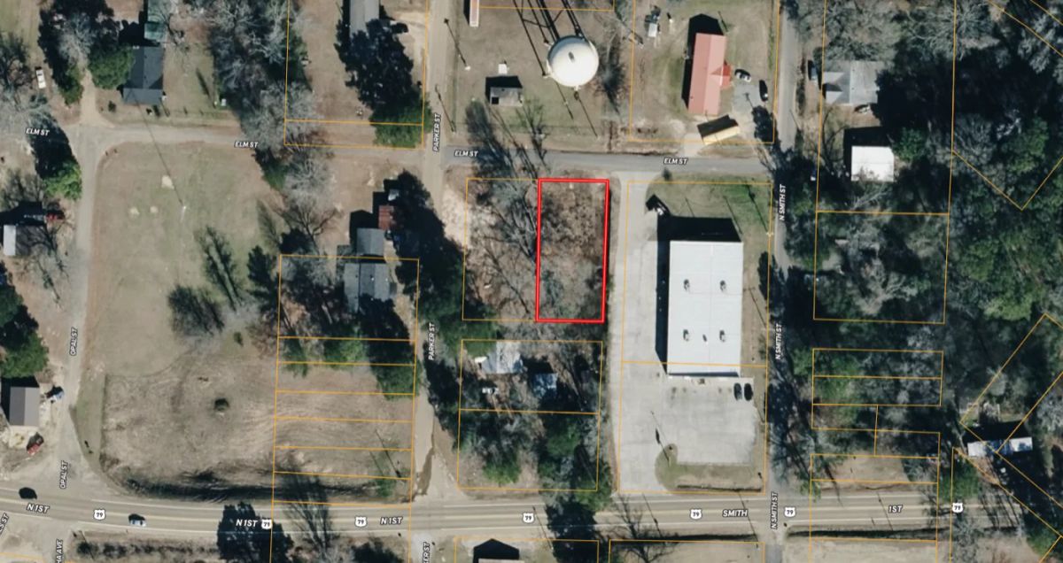 0.2 Acres with Owner Financing and $450 down in Ouachita County Arkansas! - Image 2