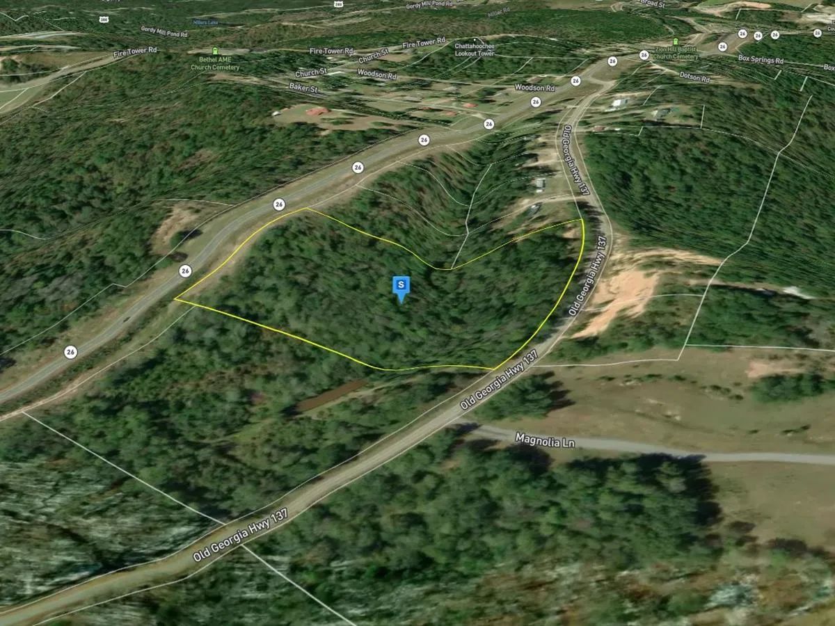 Decorative background for 8.97 Acres with Creek For Sale in Chattahoochee County Georgia! image 5