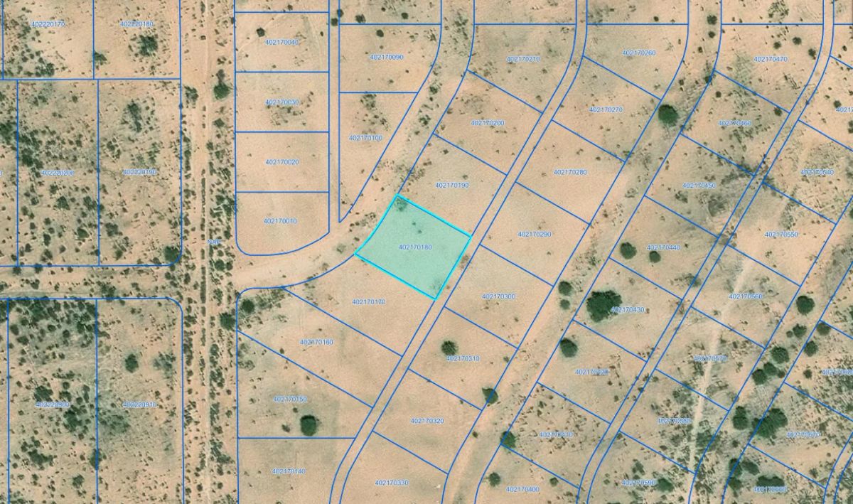 0.33 Acres with Owner Financing and $345 down in Pinal County Arizona! - Image 2