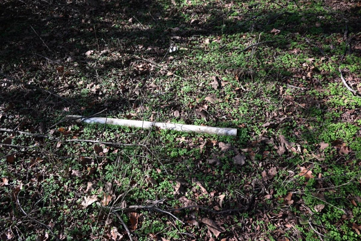 Decorative background for 1.97 Acres with Owner Financing and $1,695 Down in Franklin County, Arkansas image 25