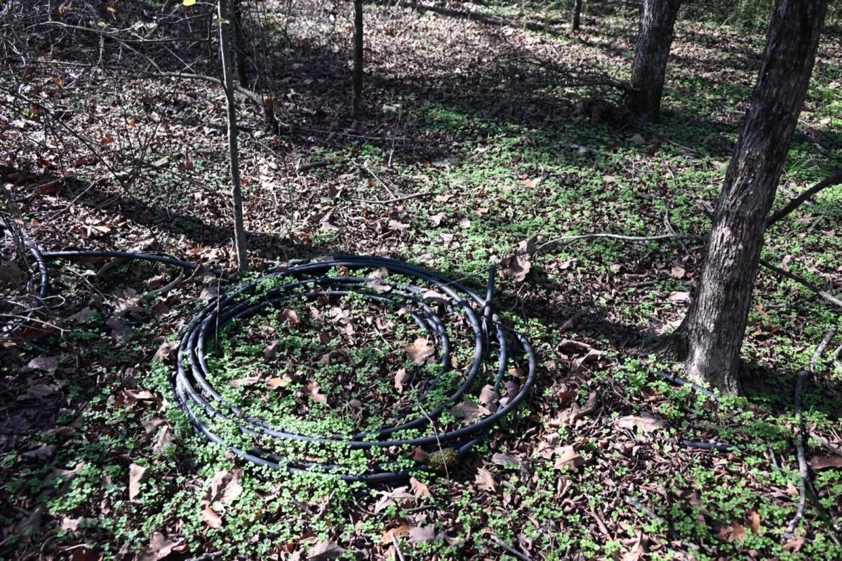 Decorative background for 1.97 Acres with Owner Financing and $1,695 Down in Franklin County, Arkansas image 28